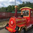 Trenuleţul turistic de revine în circulaţie, la Fălticeni