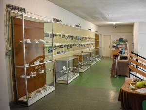 1.650 de piese, specii de melci și scoici de pe malurile mărilor lumii, expuse la Muzeul de Științele Naturii
