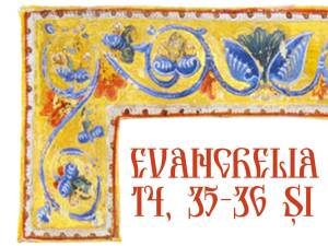 Evanghelia zilei