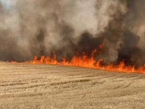 Peste două hectare dintr-un lan de grâu au ars într-un incendiu FOTO realitatea.net