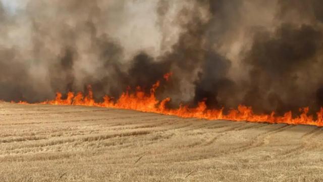 Peste două hectare dintr-un lan de grâu au ars într-un incendiu FOTO realitatea.net