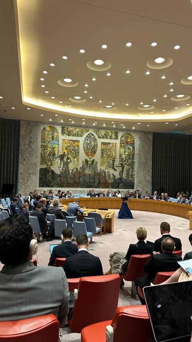 Senatorul sucevean Gheorghiță Mîndruță a participat la ședința Consiliului de Securitate ONU pe tema păcii în Ucraina