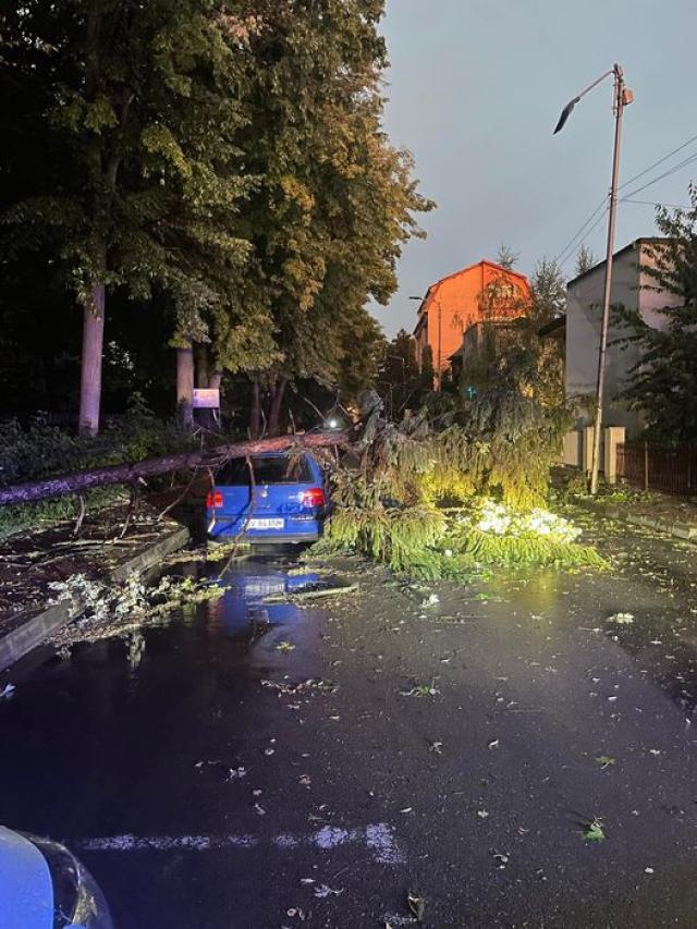 Trafic blocat pe strada Alexandru cel Bun, după intersecția cu strada Ștefan Dracinschi, din cauza unui copac căzut peste o mașină și carosabil FOTO Info Trafic Suceava