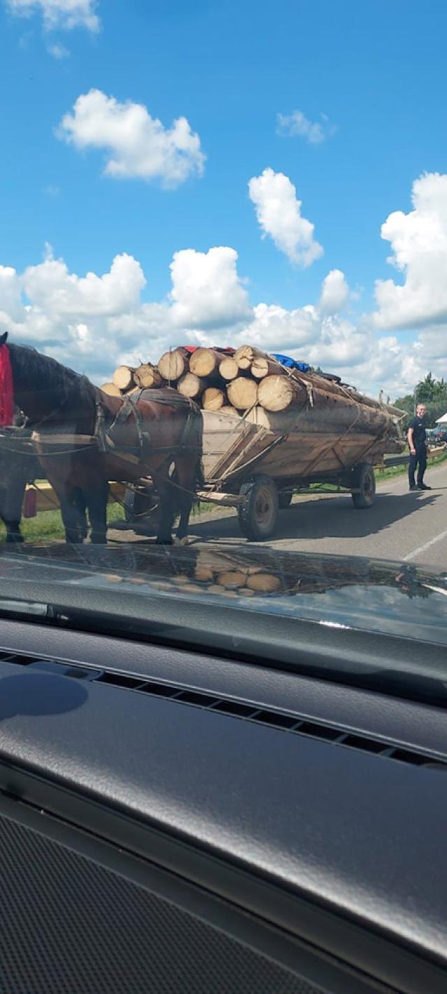 Așa arată una dintre căruțele oprite la Vicovu de Sus