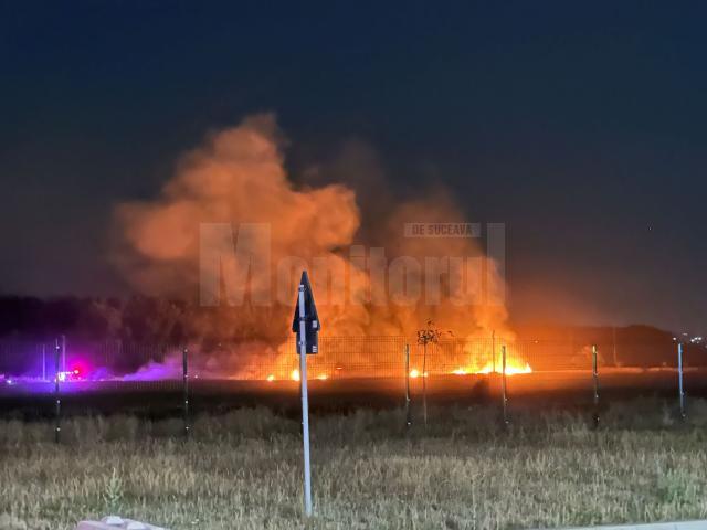 Trei sate fără curent după un incendiu de vegetație plecat de la un fir de medie tensiune care s-a rupt