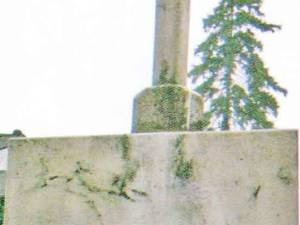 Înveșnicirea Troiței la români. Monumentele românești din județul Cernăuți (Nordul Bucovinei)