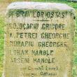 Înveșnicirea Troiței la români. Monumentele românești din județul Cernăuți (Nordul Bucovinei)