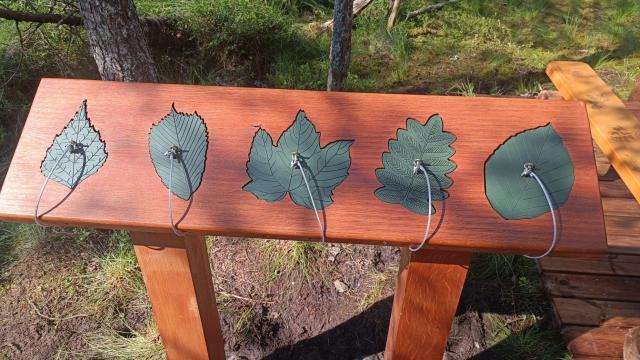 Informații despre frunzele arborilor din Tinovu Mare