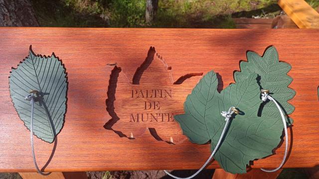 Informații despre frunzele arborilor din Tinovu Mare