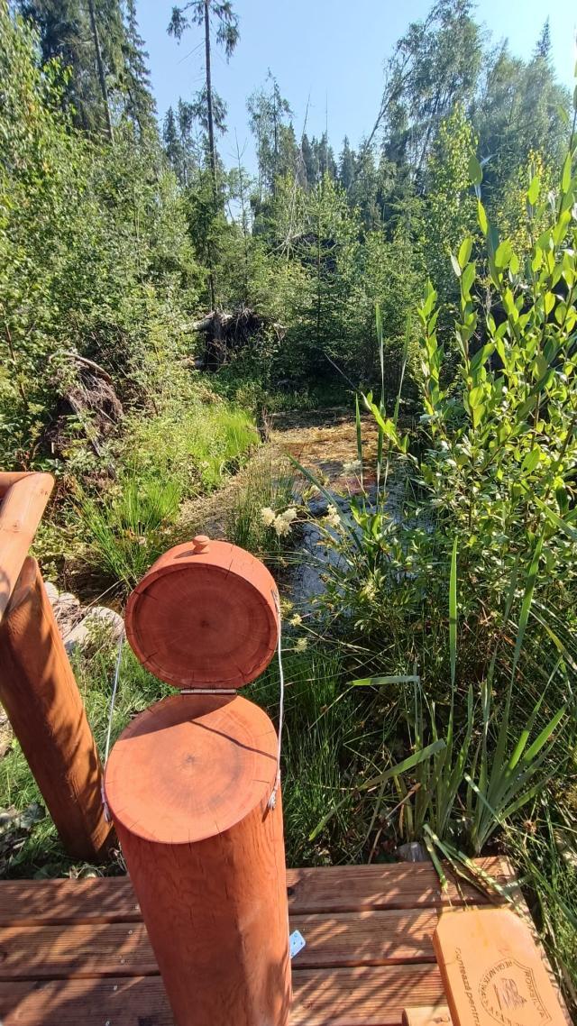 Ochiuri de apă în rezervație