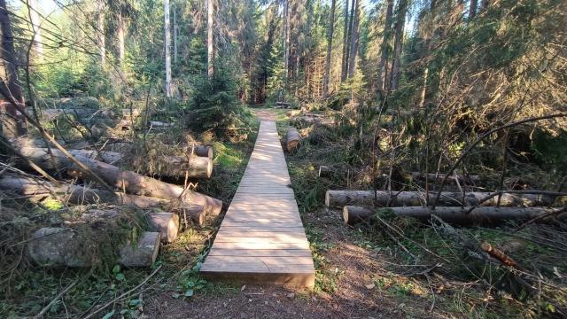 Panou cu informații despre Tinovul Mare