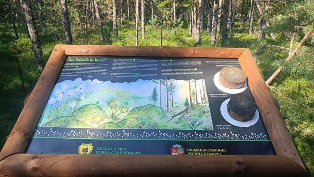 Panou cu informații despre Tinovul Mare