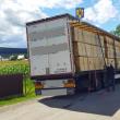 Un tir care transporta ilegal peste 55 mc de cherestea, indisponibilizat de polițiști cu tot cu marfă