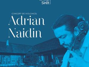 Concert Adrian Naidin