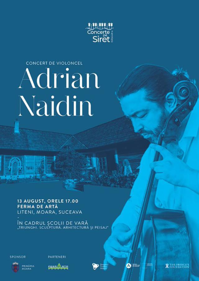 Concert Adrian Naidin