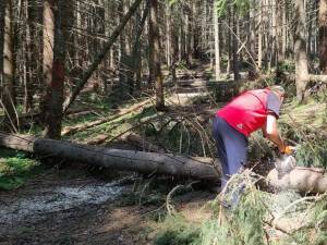 Mai multe trasee turistice, degajate de cei de la Salvamont Suceava după căderile de arbori