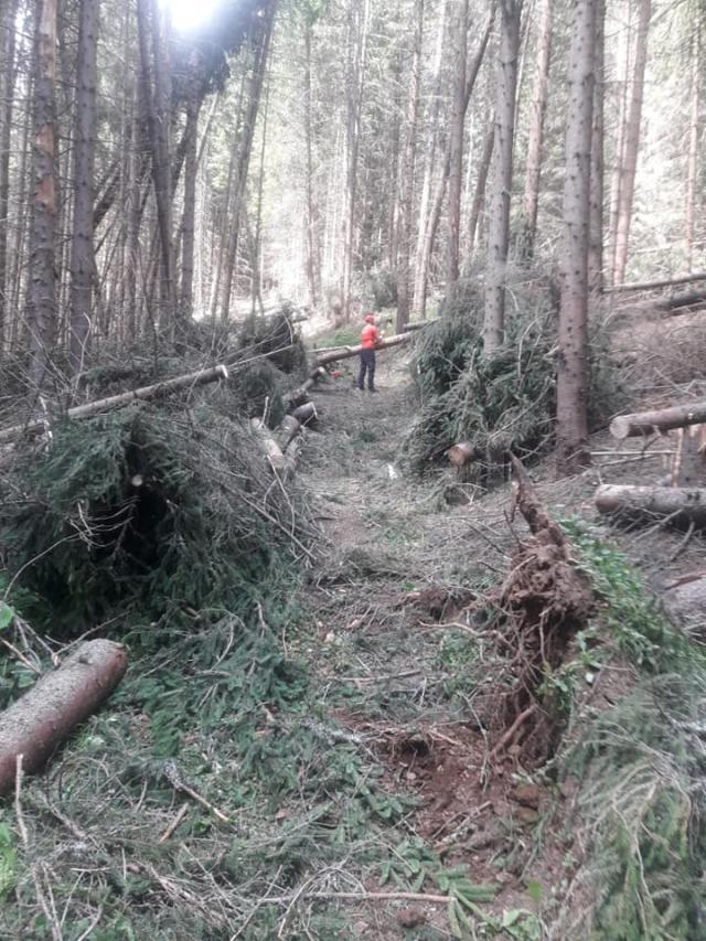 Mai multe trasee turistice, degajate de cei de la Salvamont Suceava după căderile de arbori