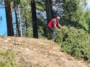 Mai multe trasee turistice, degajate de cei de la Salvamont Suceava după căderile de arbori