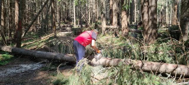 Mai multe trasee turistice, degajate de cei de la Salvamont Suceava după căderile de arbori