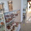 Vernisajul expoziției „Artă și Artefacte”, ediția a VI-a, joi, la Muzeul de Istorie