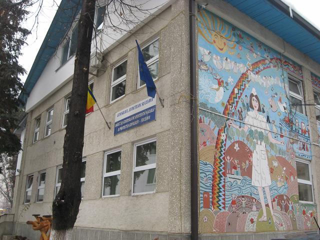 Direcția Generală de Asistență și Protecția Copilului (DGASPC) Suceava