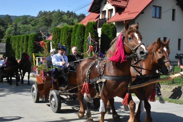 Sărbătoarea Roadelor, un eveniment plin de culoare și entuziasm