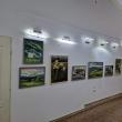 „Motive interpretate”, expoziție cu lucrări realizate de șase artiști din România și Republica Moldova, la Vatra Dornei