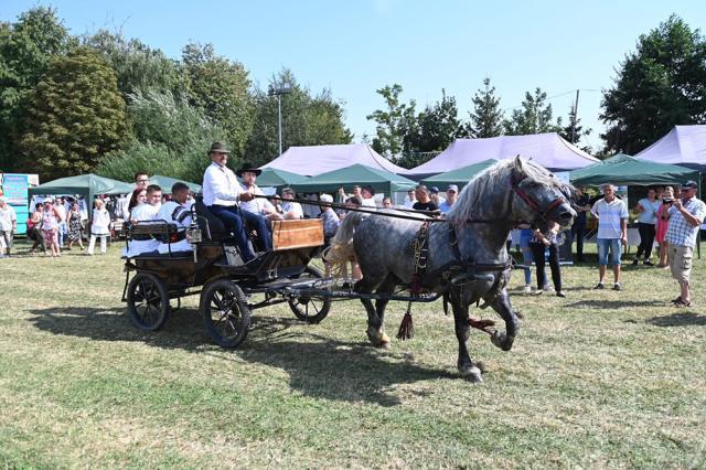 Târg de tradiții și produse populare la Zilele Comunei Arbore