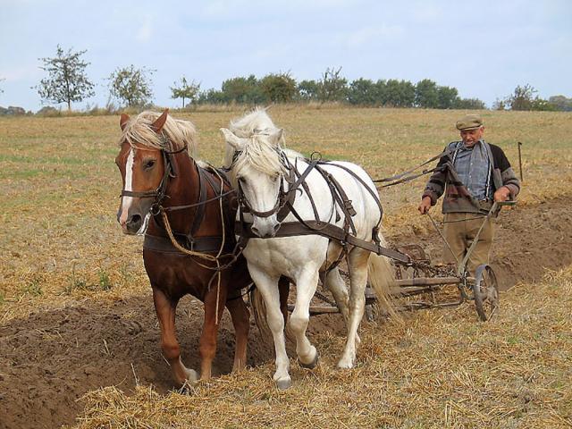 „Odinioară omul”