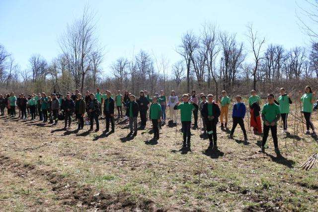 Săptămâna verde, în şcoli din Suceava