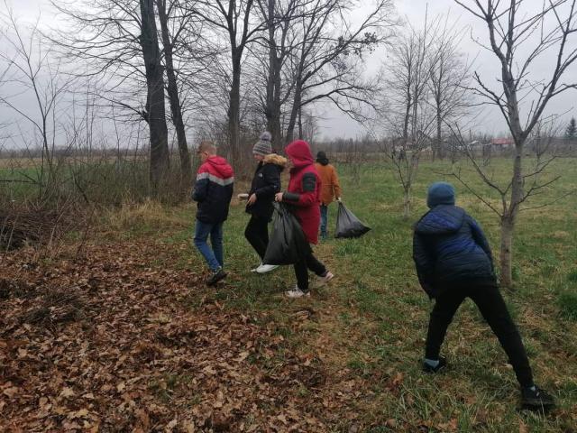 Săptămâna verde, în şcoli din Suceava