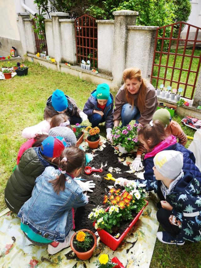 Săptămâna verde, în şcoli din Suceava