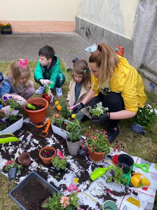 Săptămâna verde, în şcoli din Suceava