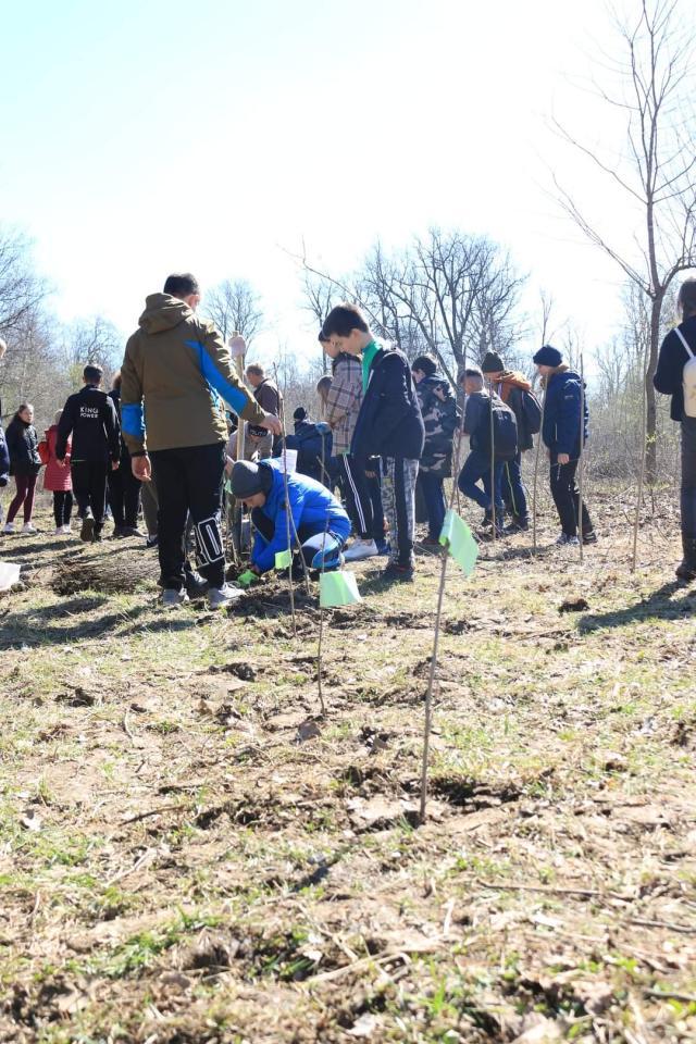 Săptămâna verde, în şcoli din Suceava