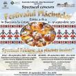 Festivalul Plăcintelor, ediția a II-a, trei zile, pe platoul Cetății de Scaun Suceava