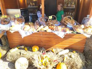 Festivalul Plăcintelor a început la Suceava, cu zeci de delicatese culinare