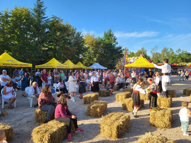 Trei zile de distracție și voie bună la Festivalul Plăcintelor, la Suceava