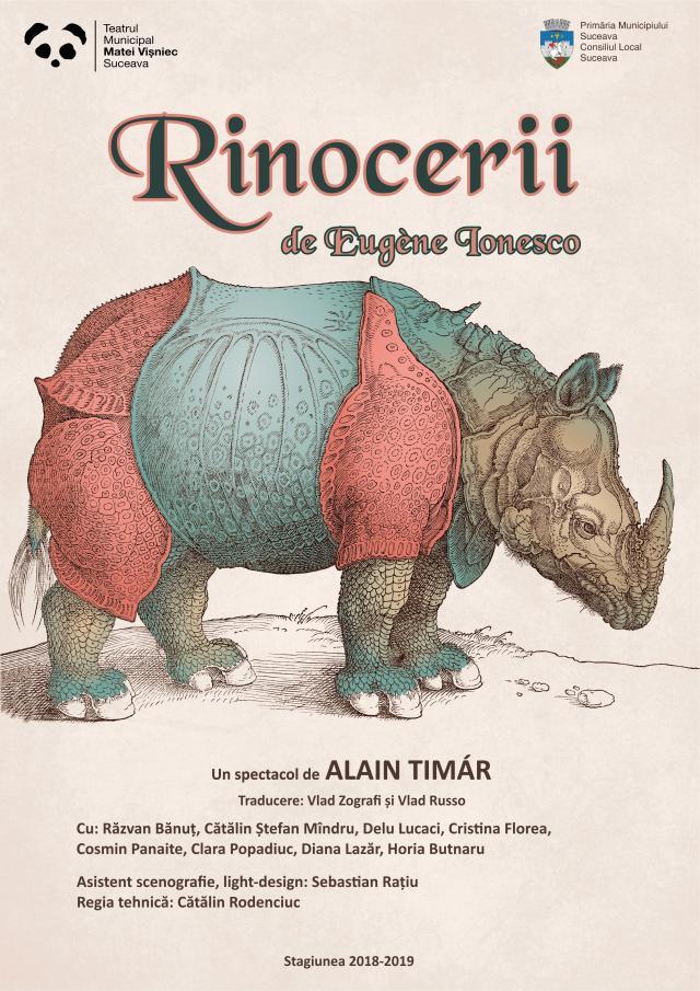 Rinocerii