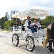 O paradă cu trăsuri a deschis festivalul Oktoberfest în Est