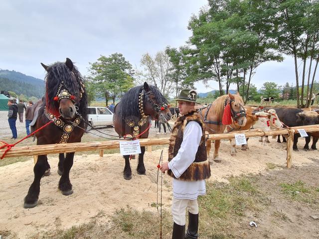 Fermierii și-au adus animalele la expoziție