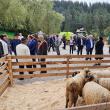 Fermierii și-au adus animalele la expoziție