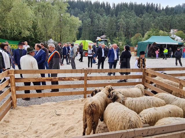 Fermierii și-au adus animalele la expoziție