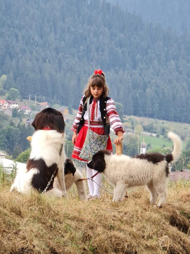 Fetiță din Bucovina