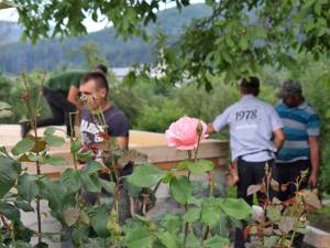 „Foișorul bunicilor cu dor”, de la Căminul pentru Persoane Vârstnice Solca, va fi inaugurat astăzi