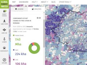 Suprafața totală de pădure în România este de 7.037.607 ha, din care terenuri acoperite cu arbori 6.929.047 ha, iar terenuri destinate împăduririi 56.653 ha