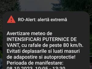 Mesaj ro alert