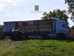 Vehicule folosite la transportul ilegal de material lemnos, în valoare totală de 70.000 de euro, confiscate de polițiști