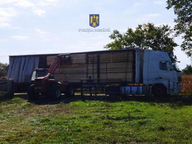 Vehicule folosite la transportul ilegal de material lemnos, în valoare totală de 70.000 de euro, confiscate de polițiști