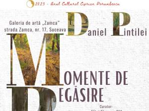 Artistul Daniel Pintilei expune „Momente de Regăsire", la Galeria de Artă Zamca