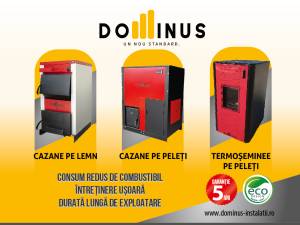 Centralele Dominus pentru instalații termice eficiente